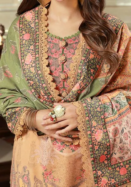 Asim Jofa Asra Pakistani Dress With Winter Shawl